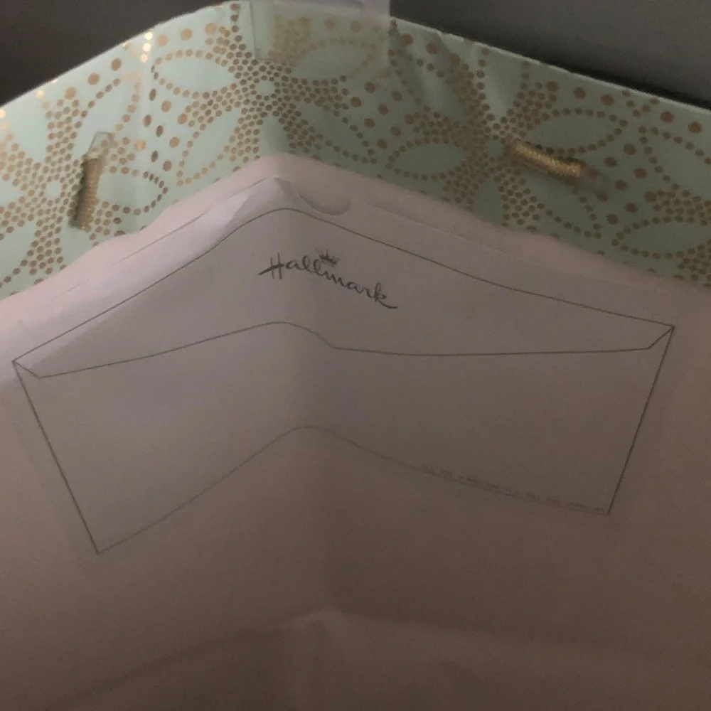 🛍️ Hallmark Gold and Mint Floral Gift Bag